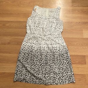 Loft Dress